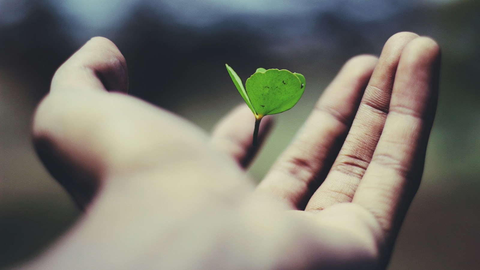 Mengembangkan Growth Mindset dengan Efektif